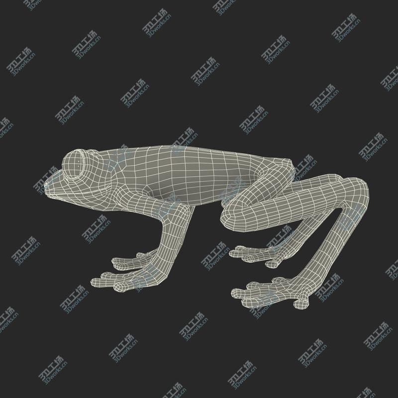 images/goods_img/2021040232/Red Eyed Tree Frog Rigged for Cinema 4D/4.jpg